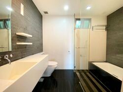 Park Infinia At Wee Nam (D11), Condominium #504599491